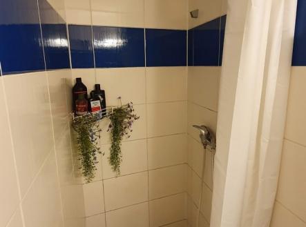 20220717-083333.jpg | Pronájem bytu, 1+kk, 24 m²