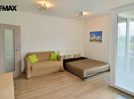 dsc-3252.jpg | Pronájem bytu, 1+kk, 39 m²