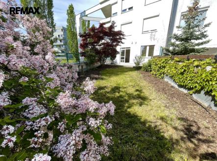 img-2469.jpg | Pronájem bytu, 2+kk, 49 m²