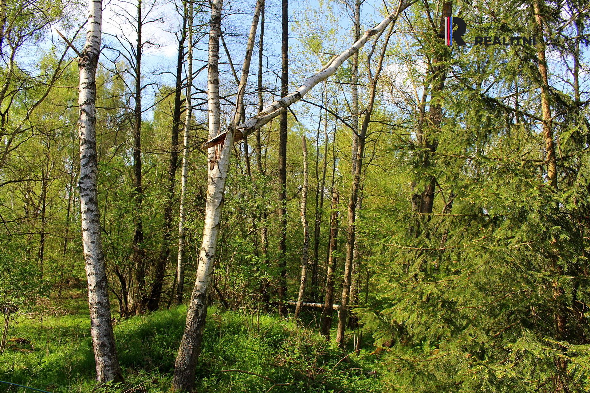 Prodej pozemku Olšová Vrata