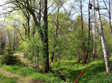 Prodej - pozemek, ostatní, 3 000 m²