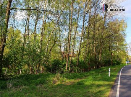 Prodej - pozemek, ostatní, 3 000 m² obrázek