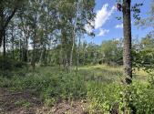 Prodej - pozemek, ostatní, 3 000 m²