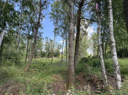 Prodej - pozemek, ostatní, 3 000 m²