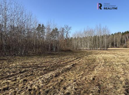 Prodej - pozemek, trvalý travní porost, 5 750 m²