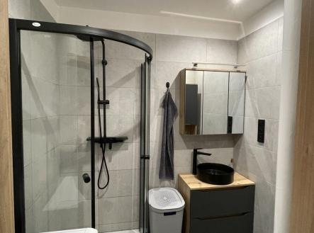 do koupelny | Prodej bytu, 3+kk, 55 m²