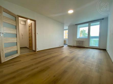 Pronájem bytu, 1+1, 37 m² obrázek