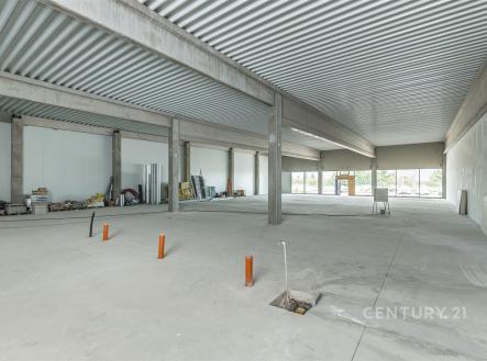 . | Pronájem - obchodní prostor, 253 m²