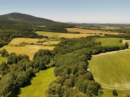 . | Prodej - pozemek, les, 29 772 m²