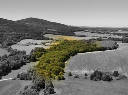 . | Prodej - pozemek, les, 29 772 m²