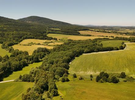 . | Prodej - pozemek, les, 29 772 m²