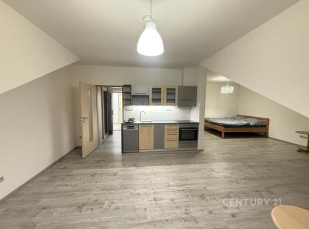 . | Pronájem bytu, 1+kk, 50 m²