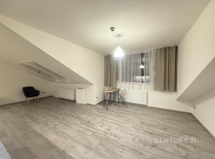 . | Pronájem bytu, 1+kk, 50 m²