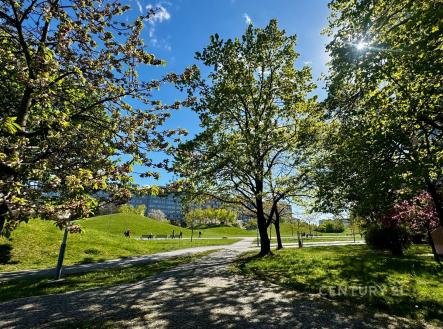 "" | Prodej bytu, 3+kk, 61 m²