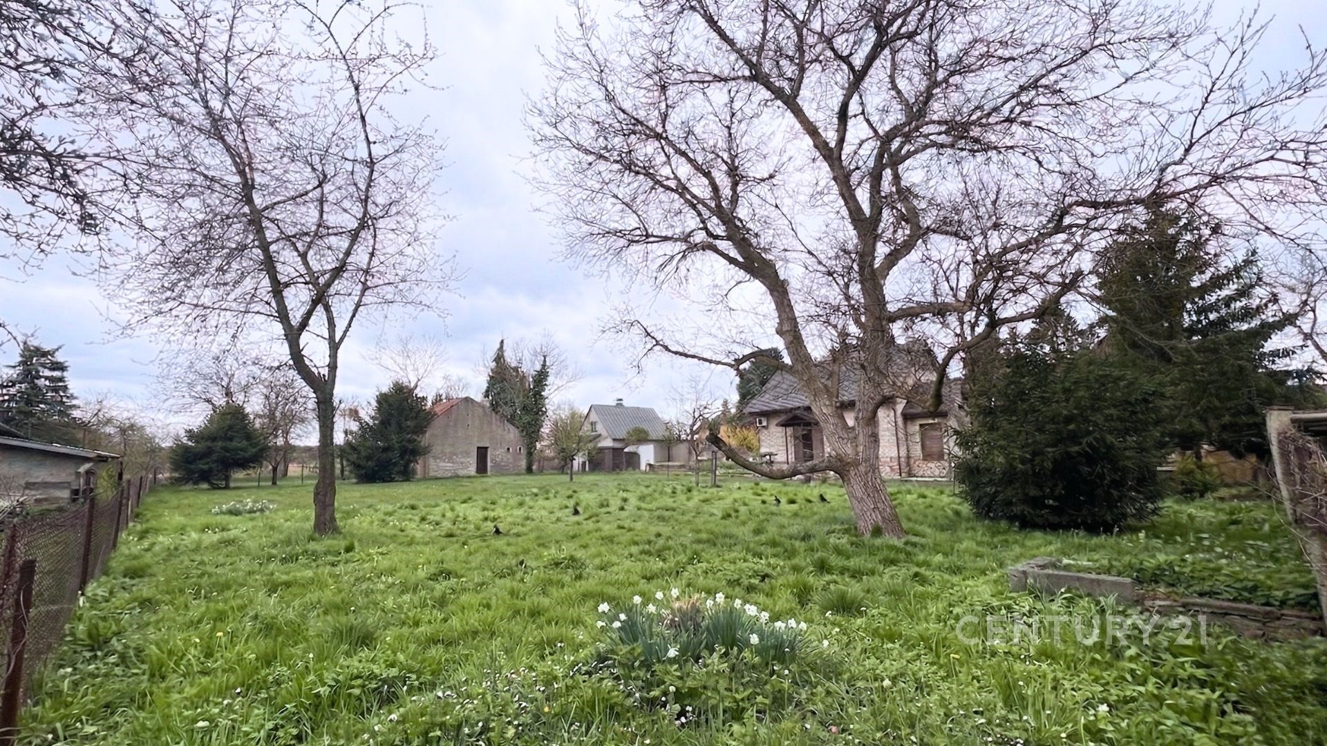Zahrada s rozlehlým trávníkem a vzrostlými stromy, nachází se u rodinného domu na venkově. Místo nabízí klidné a přírodní prostředí.