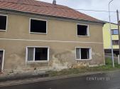 Prodej - dům/vila, 350 m²