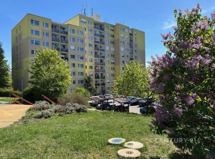 Pronájem bytu, 3+kk, 65 m² obrázek