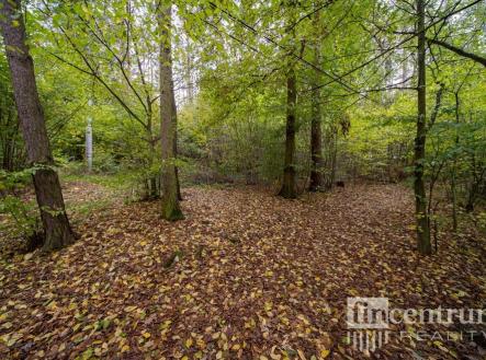 fotografie | Prodej - pozemek, les, 2 256 m²