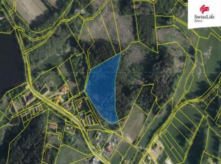 Prodej - pozemek, les, 10 412 m²