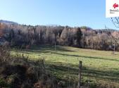 Prodej - pozemek, trvalý travní porost, 2 808 m²