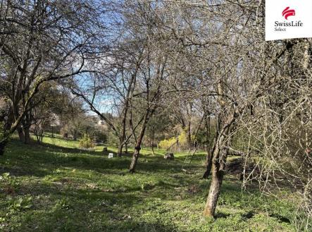 fotografie | Prodej - pozemek, zahrada, 905 m²