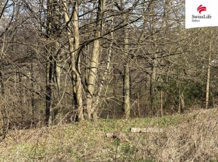 fotografie | Prodej - pozemek, zahrada, 905 m²