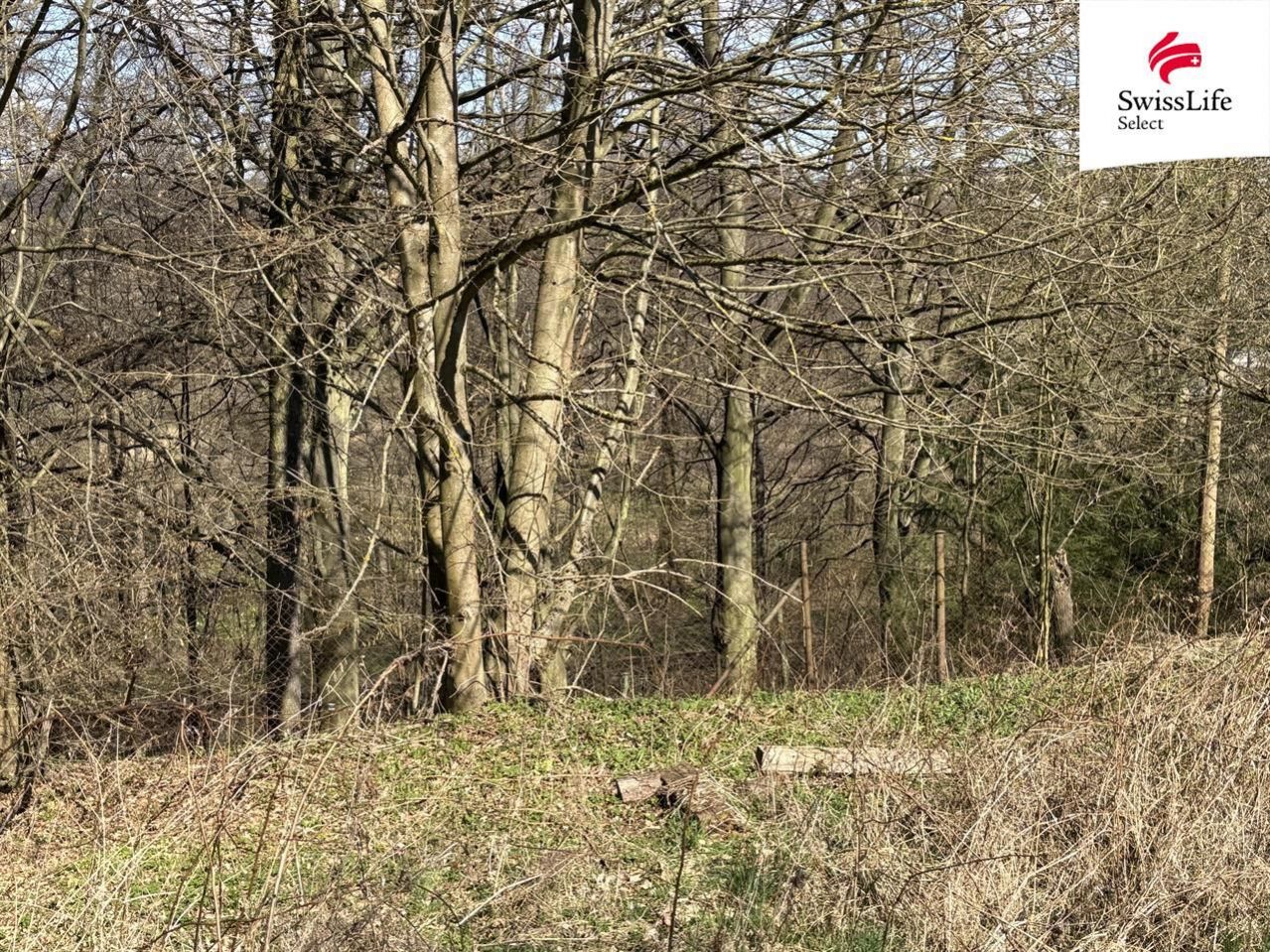 fotografie