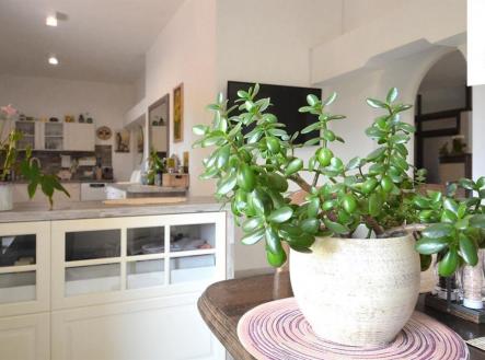 fotografie | Prodej - penzion, 662 m²