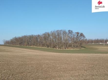 fotografie | Prodej - pozemek pro bydlení, 4 538 m²