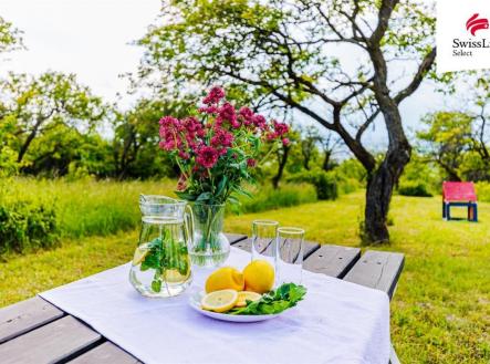 fotografie | Prodej - pozemek pro komerční výstavbu, 3 876 m²