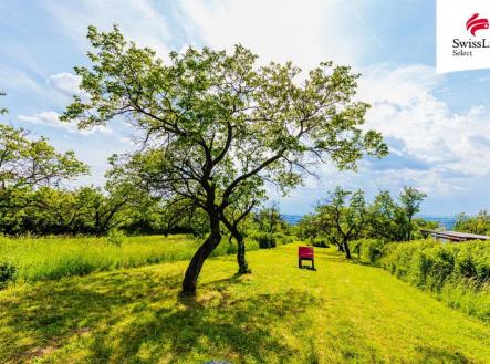 fotografie | Prodej - pozemek pro komerční výstavbu, 3 876 m²
