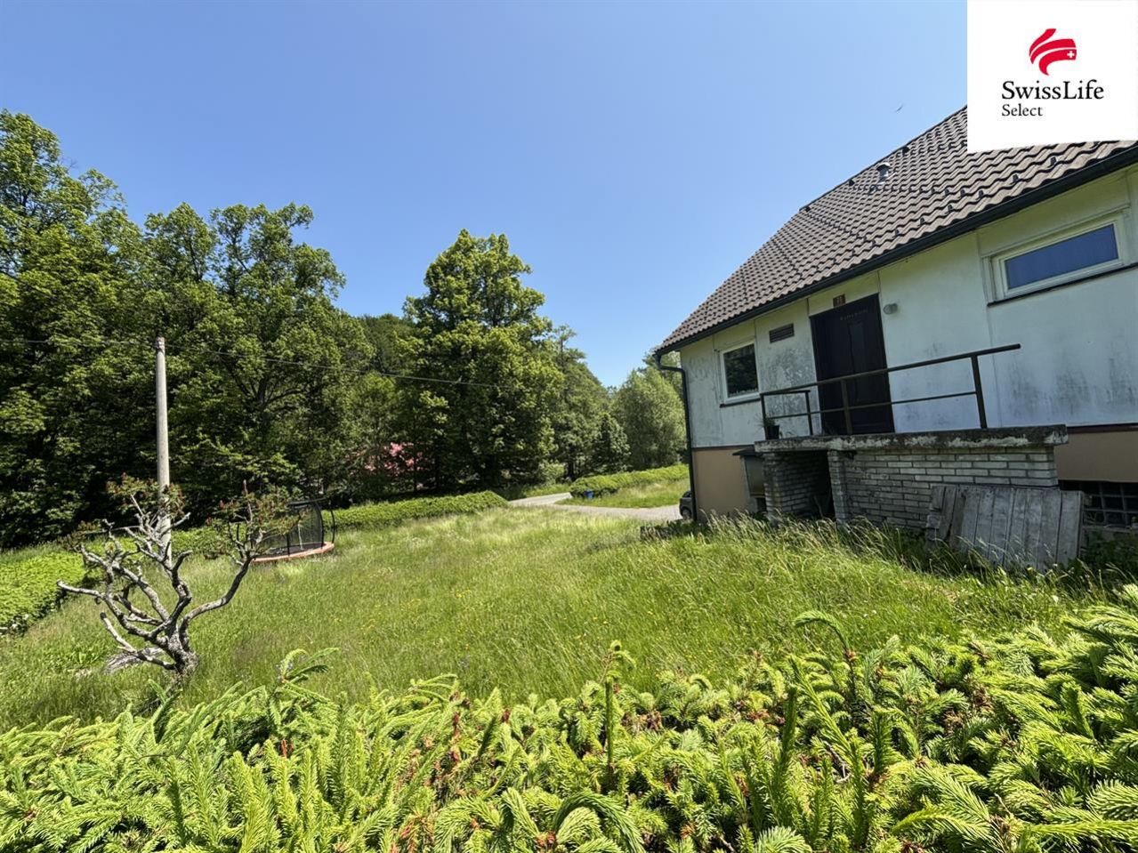 fotografie