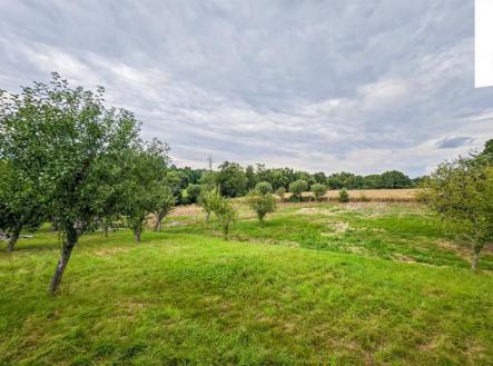 fotografie | Prodej - pozemek pro bydlení, 2 427 m²