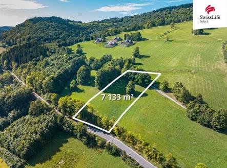 fotografie | Prodej - pozemek, trvalý travní porost, 7 133 m²