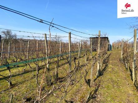 fotografie | Prodej - pozemek pro komerční výstavbu, 1 748 m²