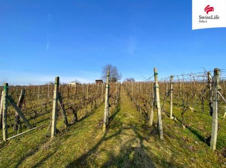 fotografie | Prodej - pozemek pro komerční výstavbu, 1 748 m²