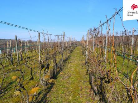 fotografie | Prodej - pozemek pro komerční výstavbu, 1 748 m²