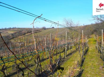 fotografie | Prodej - pozemek pro komerční výstavbu, 1 748 m²