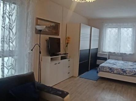 fotografie | Pronájem bytu, 1+1, 46 m²