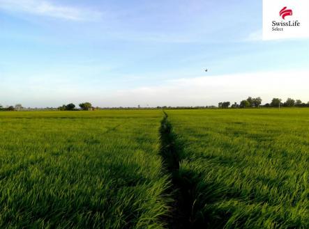 fotografie | Prodej - pozemek, zemědělská půda, 75 919 m²