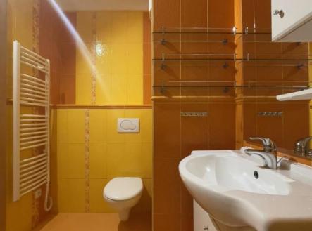 fotografie | Pronájem bytu, 2+1, 56 m²