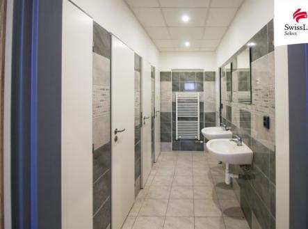 fotografie | Pronájem - obchodní prostor, 300 m²