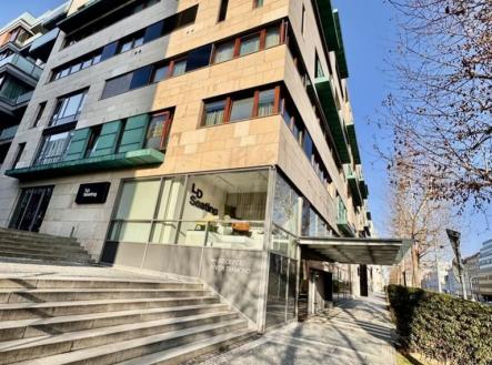 fotografie | Pronájem bytu, 2+kk, 65 m²