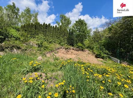 fotografie | Prodej - pozemek, zahrada, 332 m²