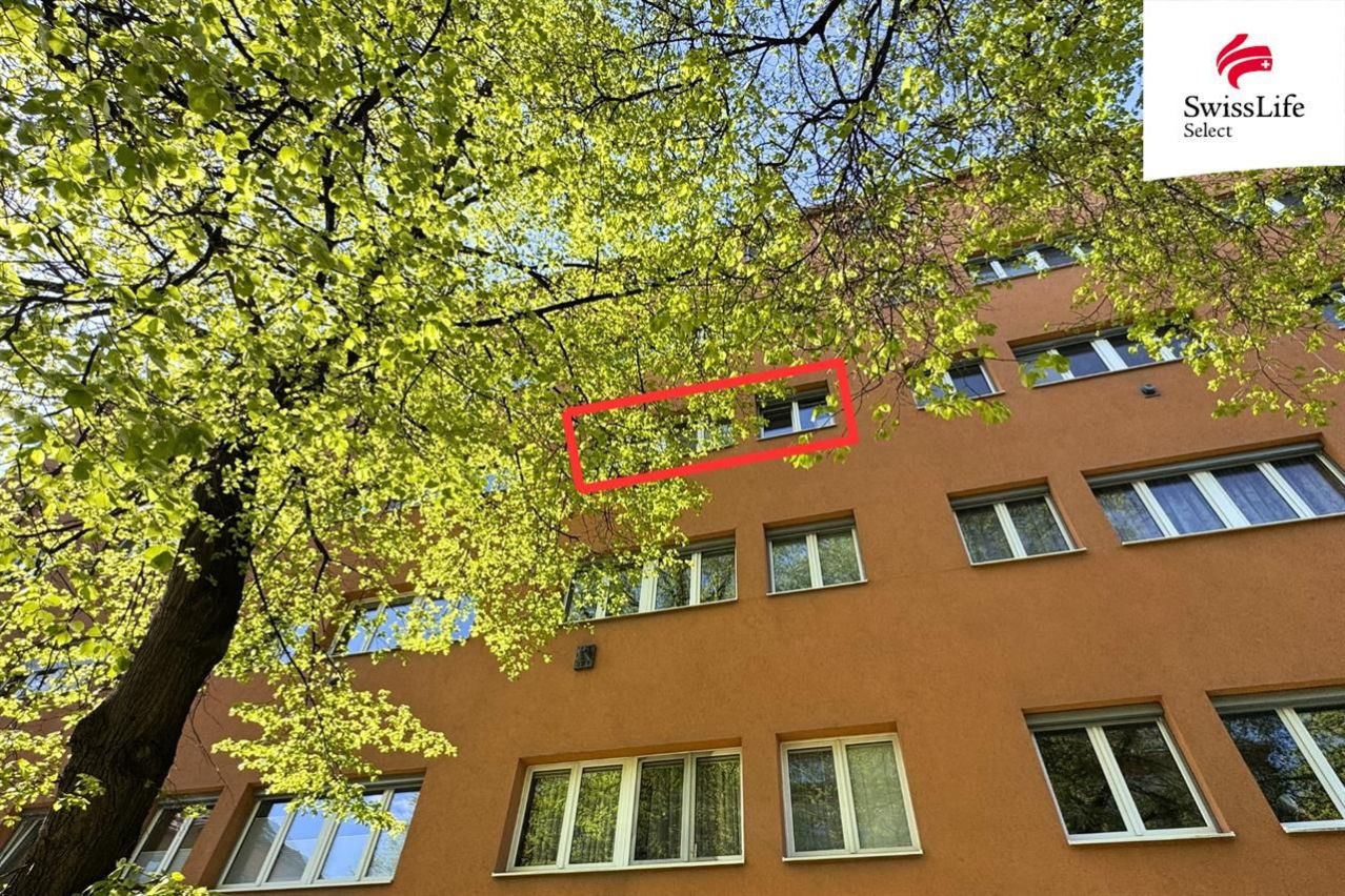 fotografie