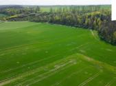 Prodej - pozemek, zemědělská půda, 18 365 m²