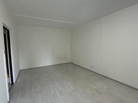 fotografie | Pronájem bytu, 1+1, 39 m²