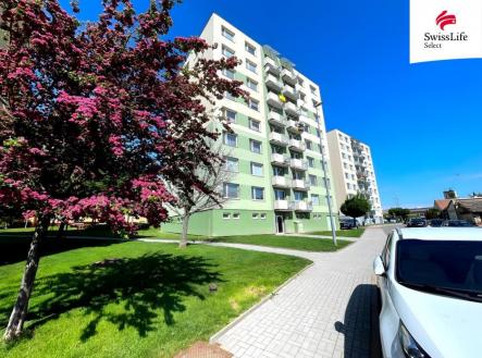 fotografie | Pronájem bytu, 3+1, 75 m²