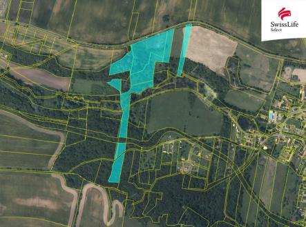 fotografie | Prodej - pozemek, les, 45 243 m²