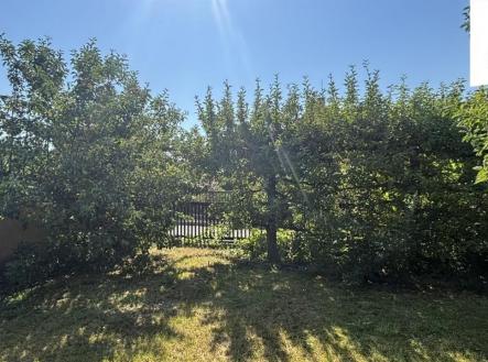 fotografie | Pronájem bytu, 3+1, 95 m²